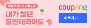 쿠팡 카테고리 11